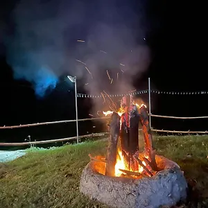  Campsite Jush Native And Glamping